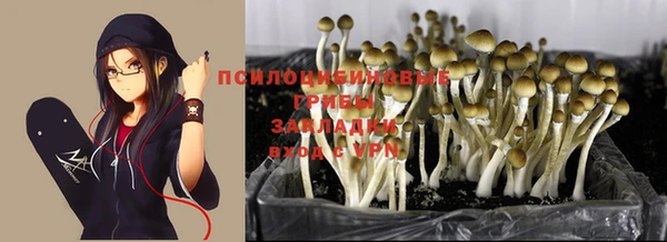 кокс Новозыбков