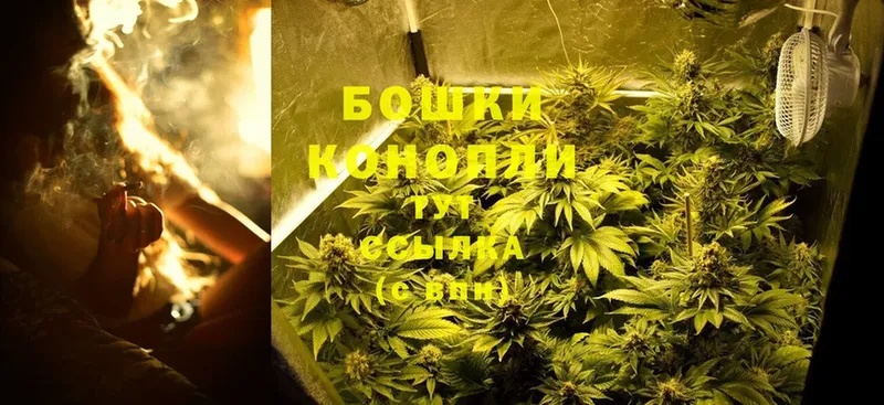 МАРИХУАНА THC 21%  Кодинск 